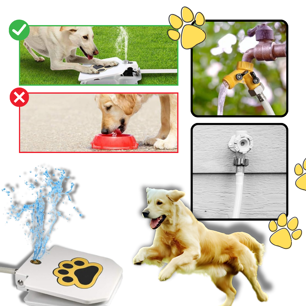Fontana d'acqua per cani con attivazione a pedale - Ozerty