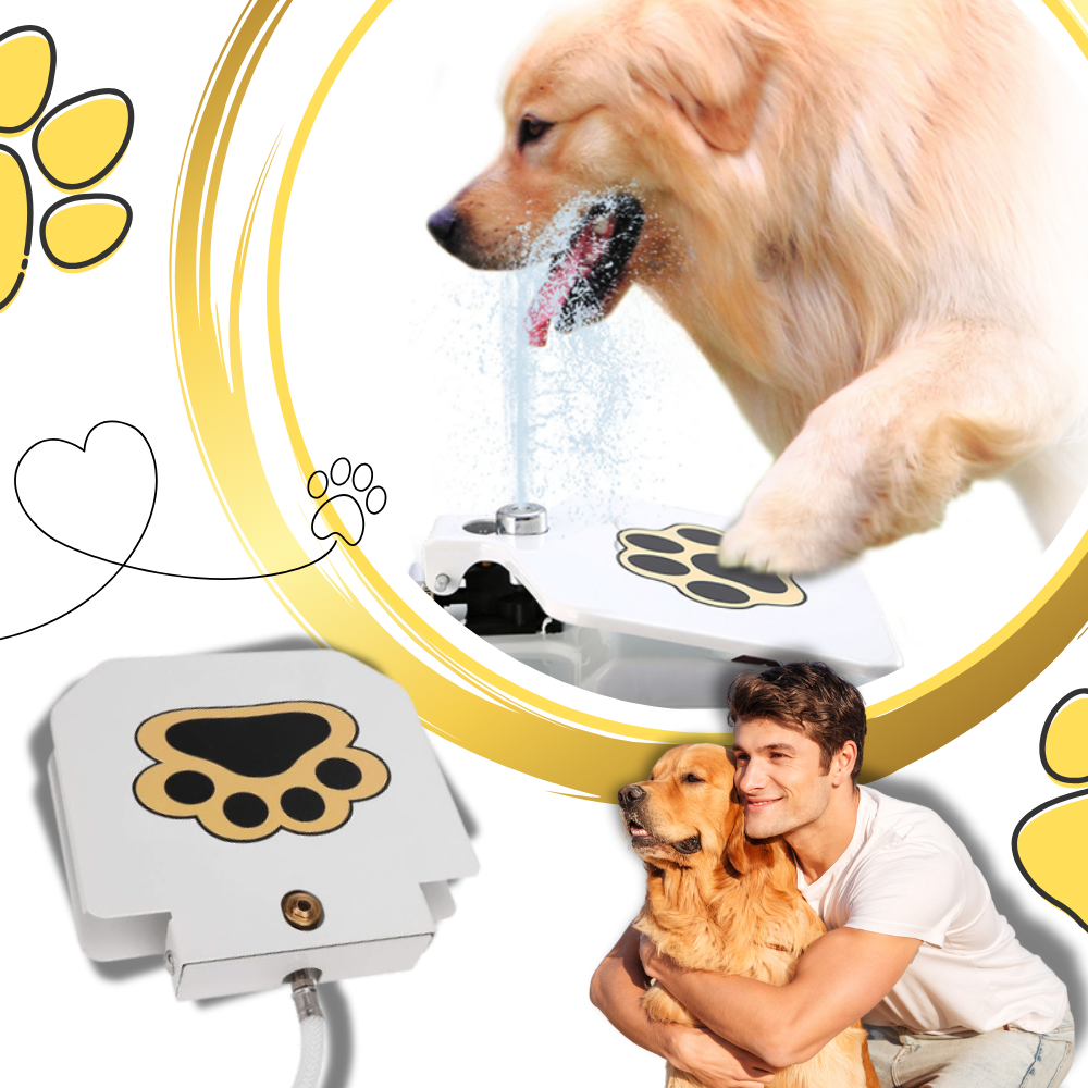 Fontana d'acqua per cani con attivazione a pedale - Ozerty
