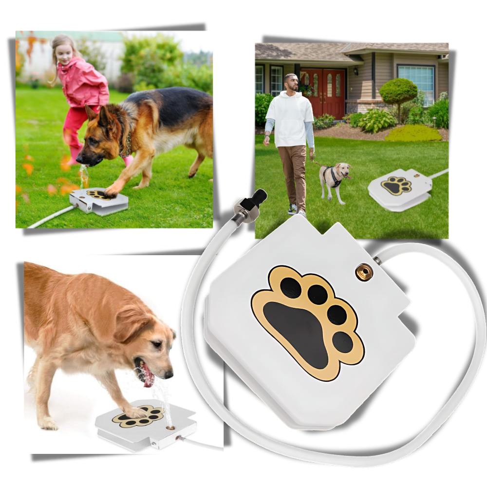 Fontana d'acqua per cani con attivazione a pedale - Ozerty