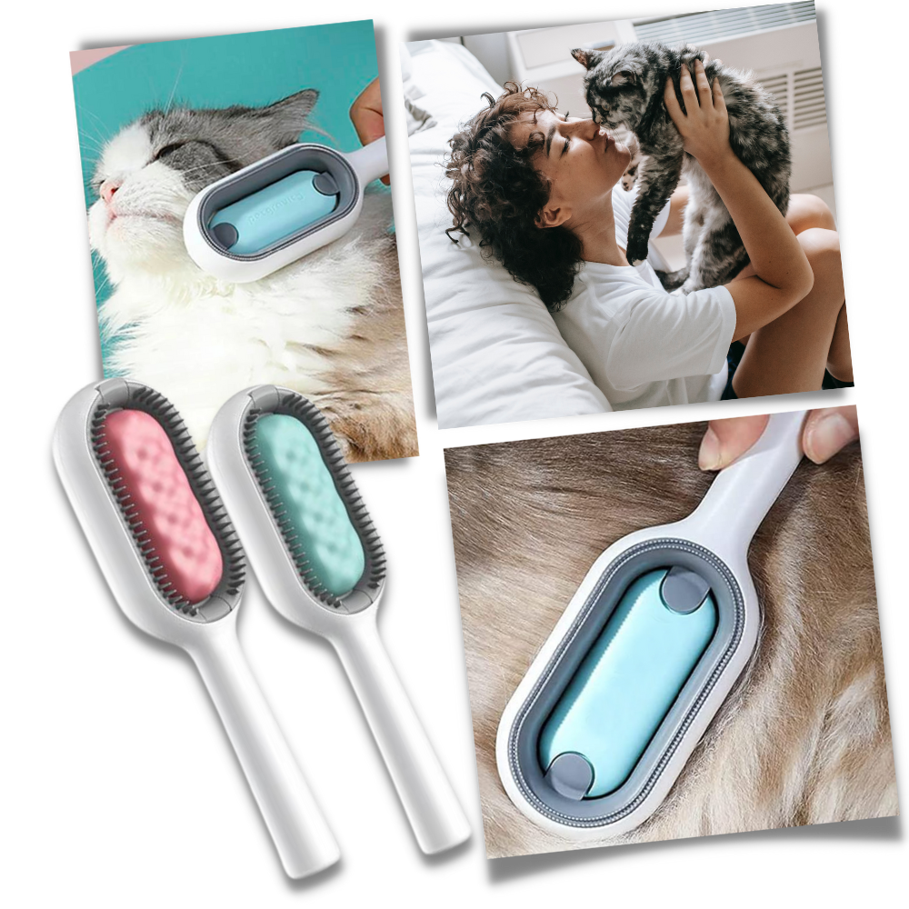Pettine da toelettatura per animali domestici con serbatoio dell'acqua - Ozerty