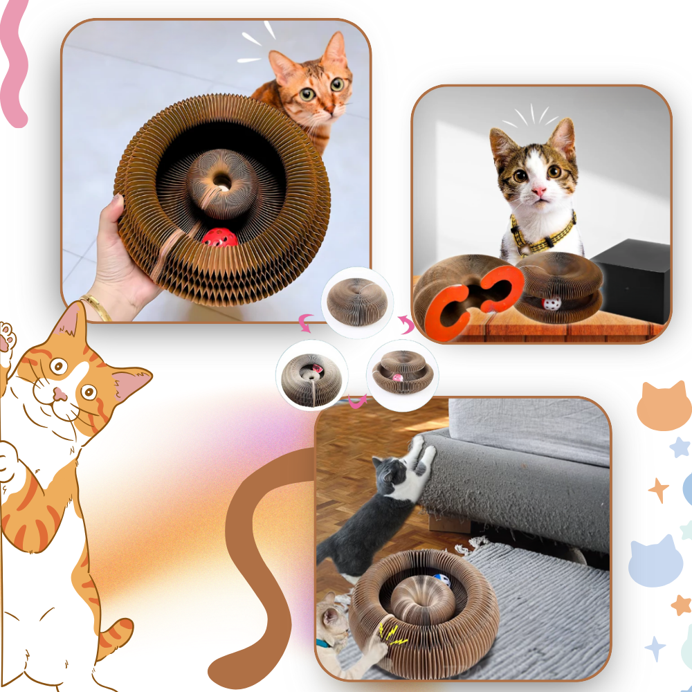 Tiragraffi Antistress per Gatti - Ozerty