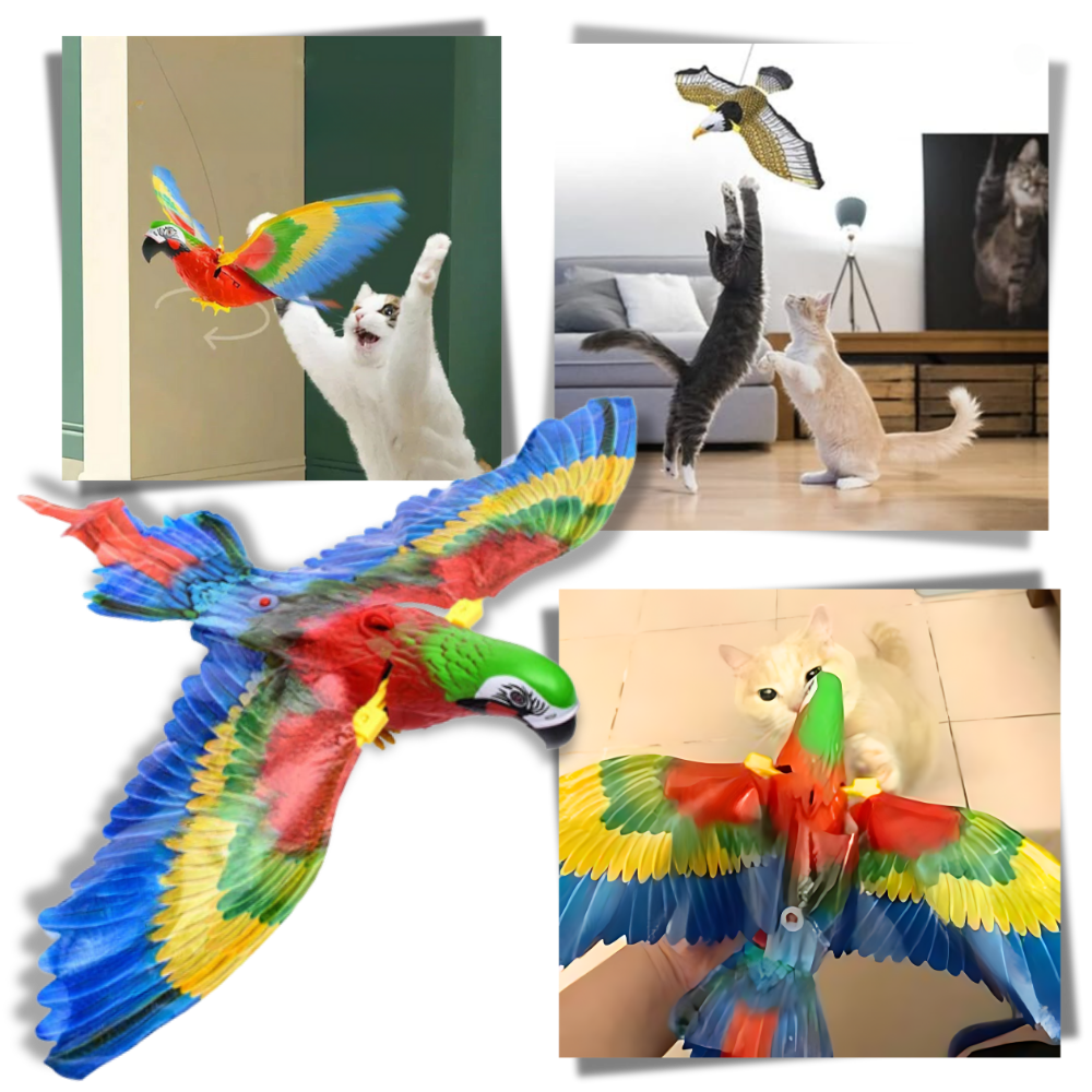 Uccello volante simulato per gatti - Ozerty