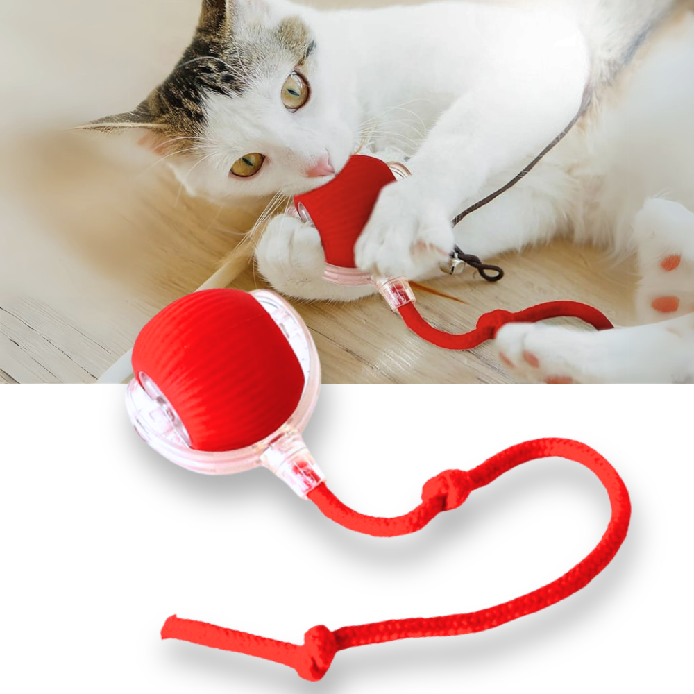 Palla interattiva intelligente per gatti  - Ozerty