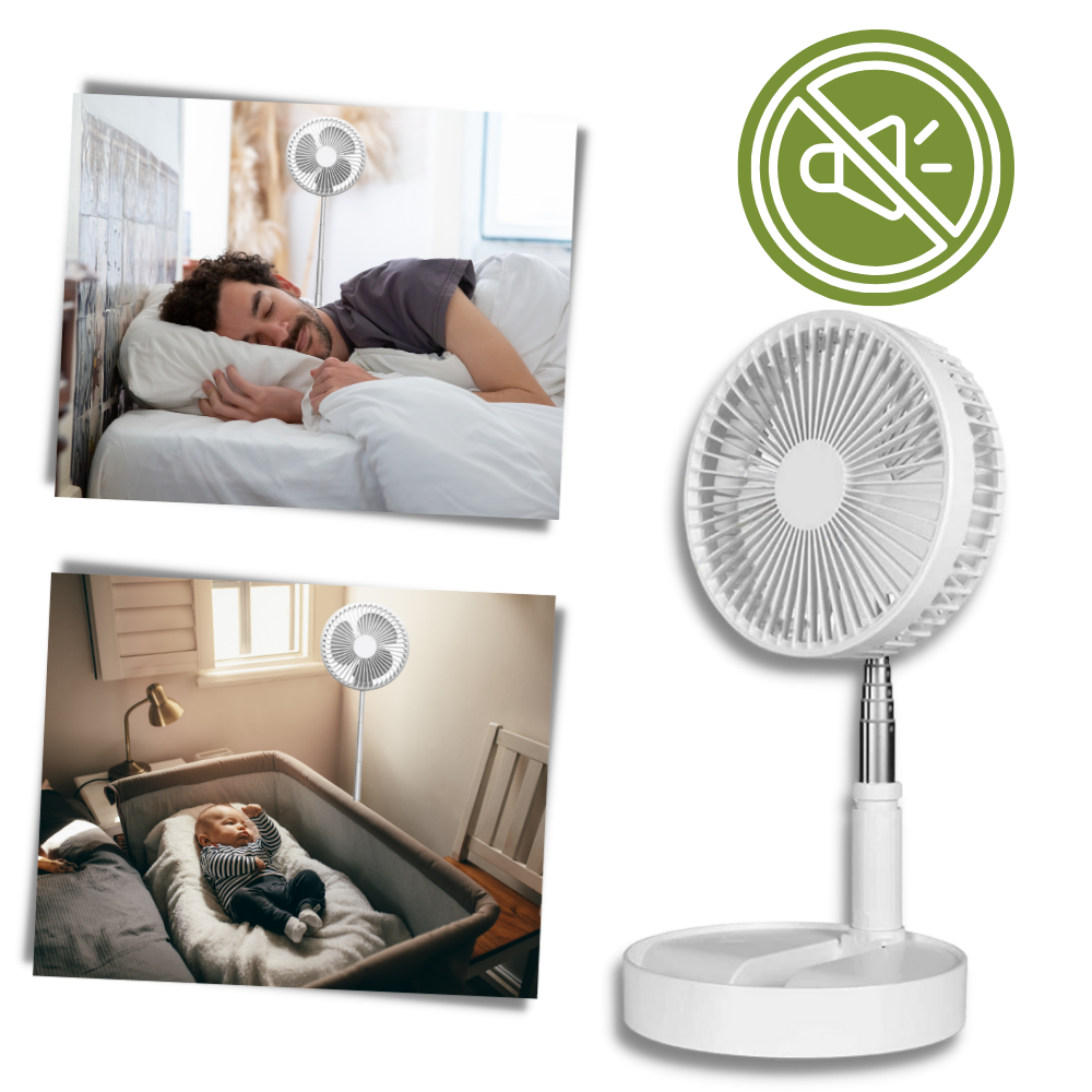 Ventilatore portatile con ricarica USB - Ozerty