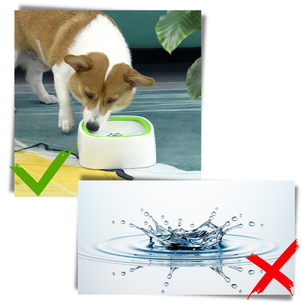Ciotola per acqua galleggiante per animali domestici - Ozerty