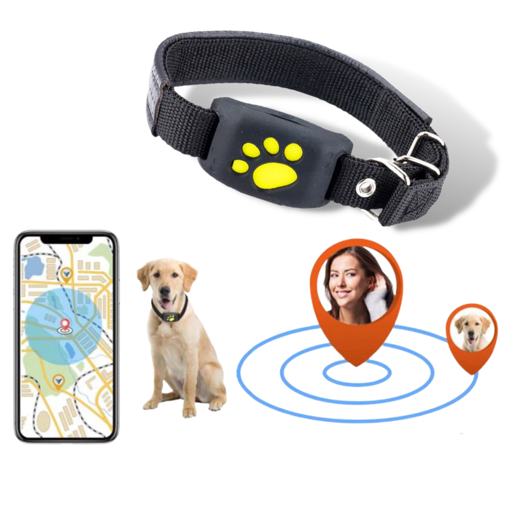 Collare di localizzazione GPS per animali domestici - Ozerty