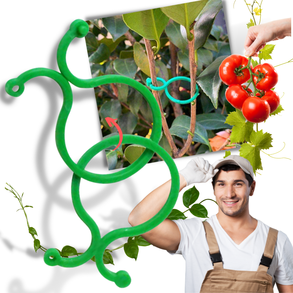Confezione di fermi per piante da giardino - Ozerty