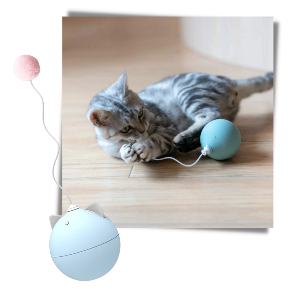 Palla giocattolo per gatti con funzione di rollio automatico - Ozerty