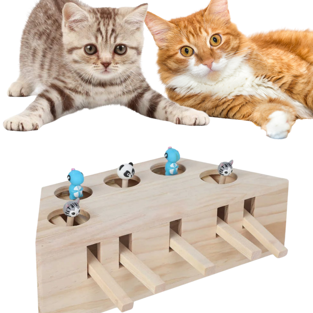 Giocattolo di legno interattivo per gatti con 5 buchi - Ozerty
