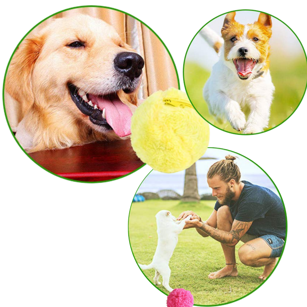 Palla mobile automatica per cani con coperture intercambiabili - Ozerty