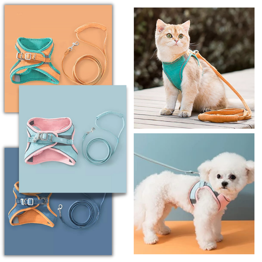 Set imbracatura e guinzaglio per animali - Ozerty