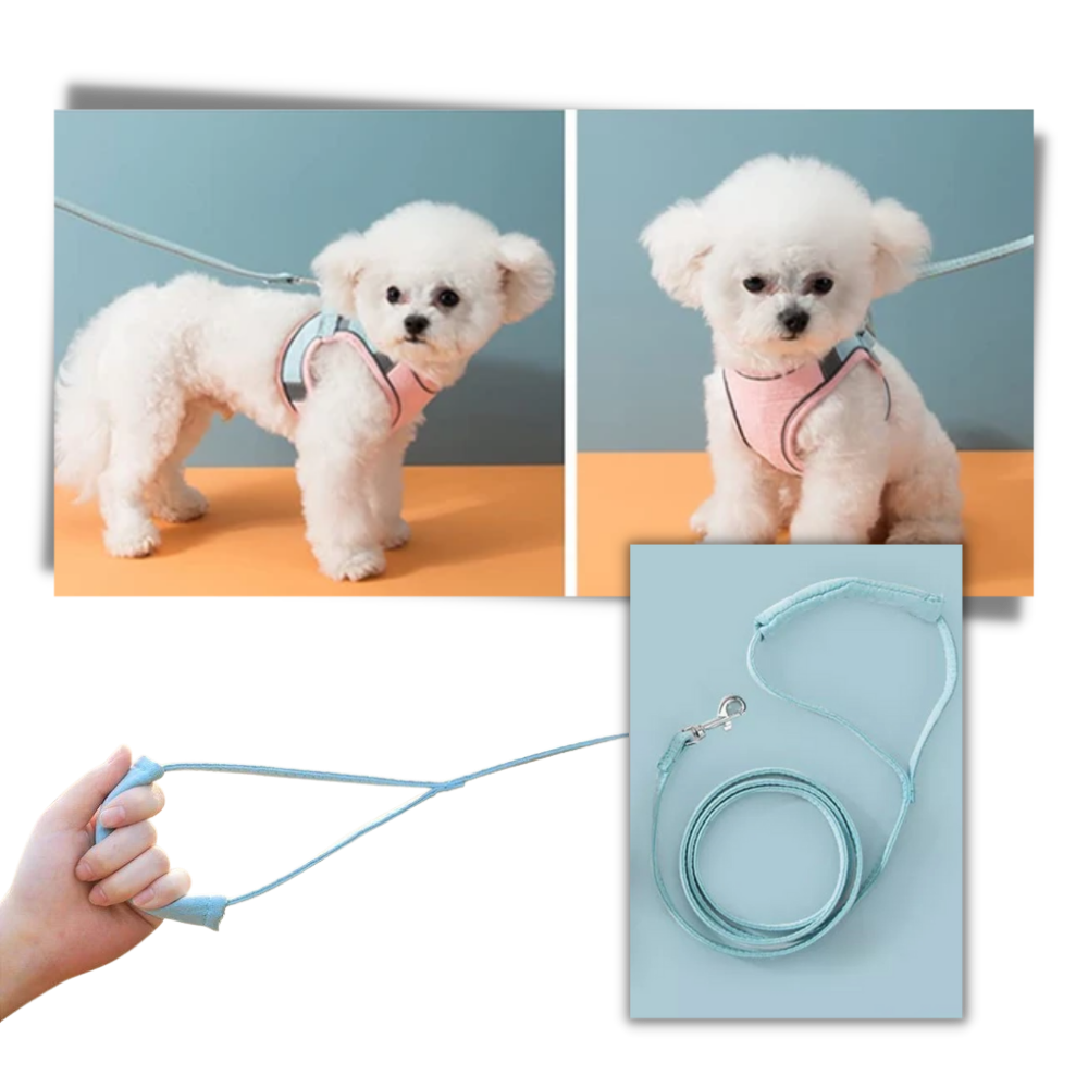 Set imbracatura e guinzaglio per animali