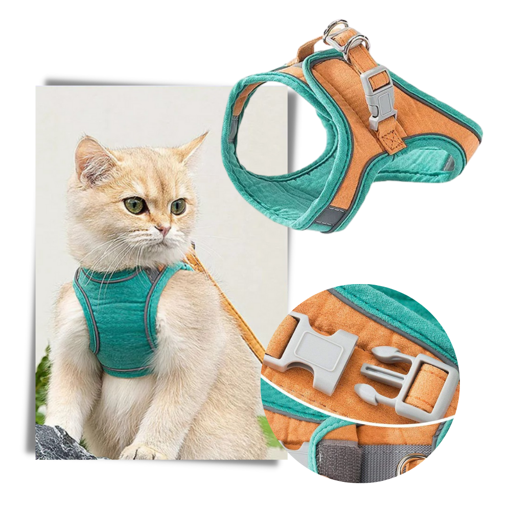 Set imbracatura e guinzaglio per animali - Ozerty