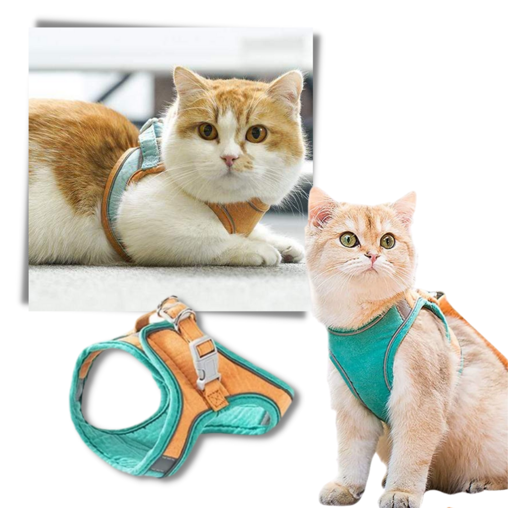 Set imbracatura e guinzaglio per animali - Ozerty