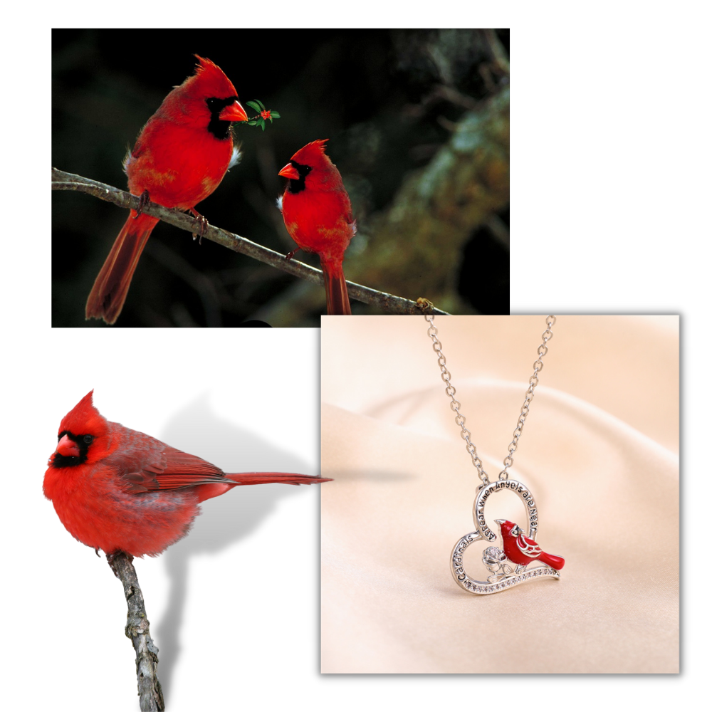 Collana con ciondolo cuore cardinale - Ozerty