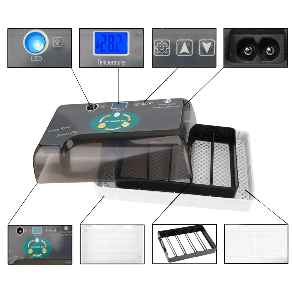 Incubatrice automatica digitale per uova