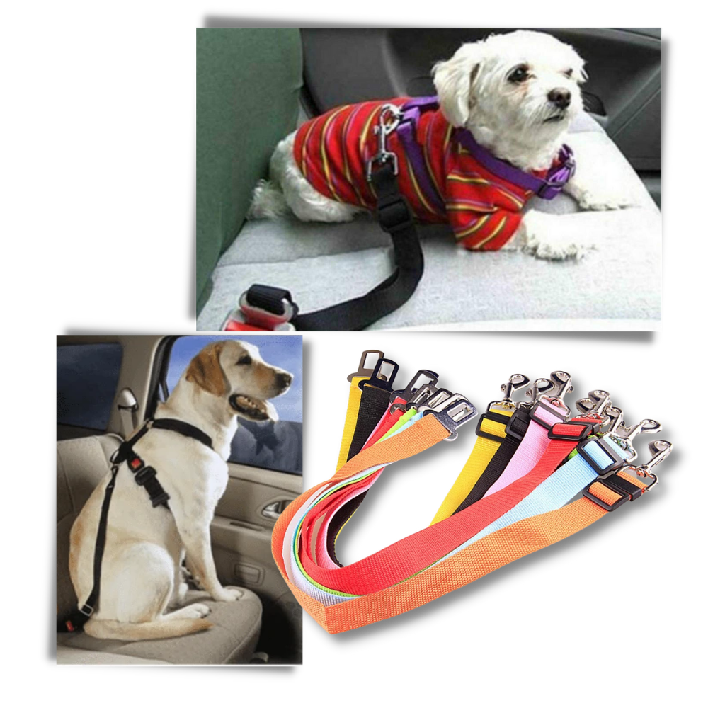 Cintura di sicurezza regolabile e durevole per cani per auto - Ozerty