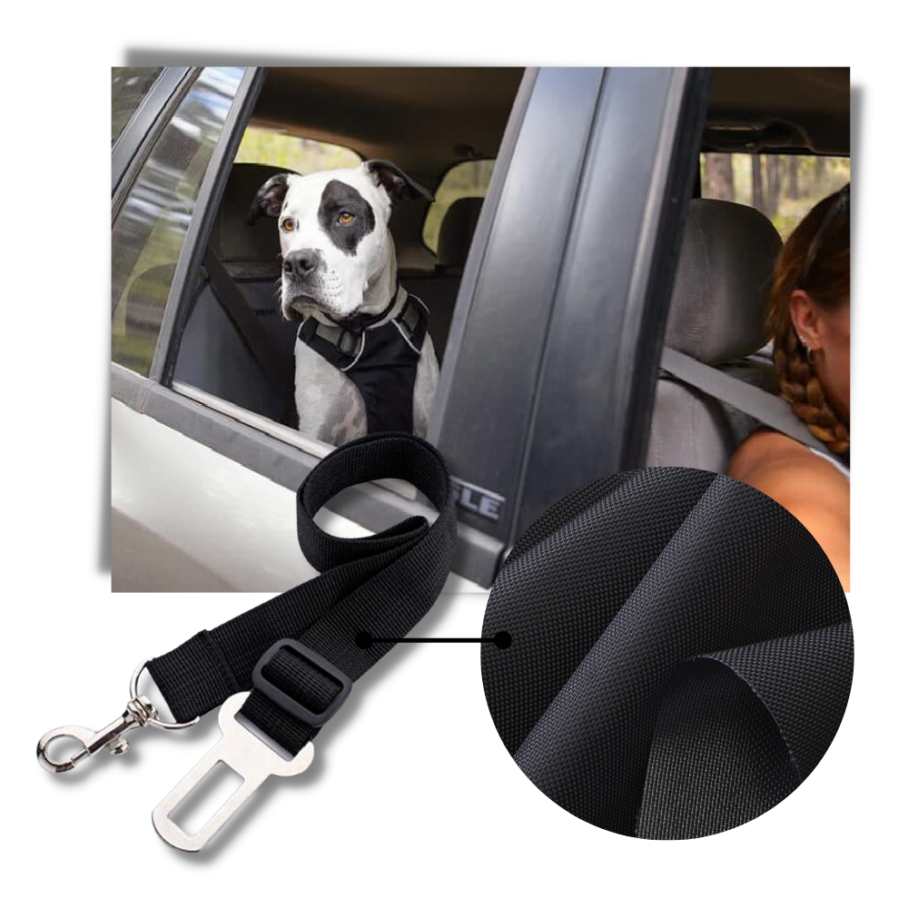 Cintura di sicurezza regolabile e durevole per cani per auto
