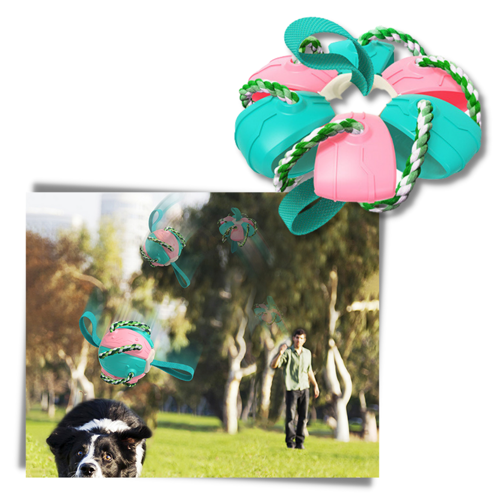 Giocattolo per cani palla frisbee