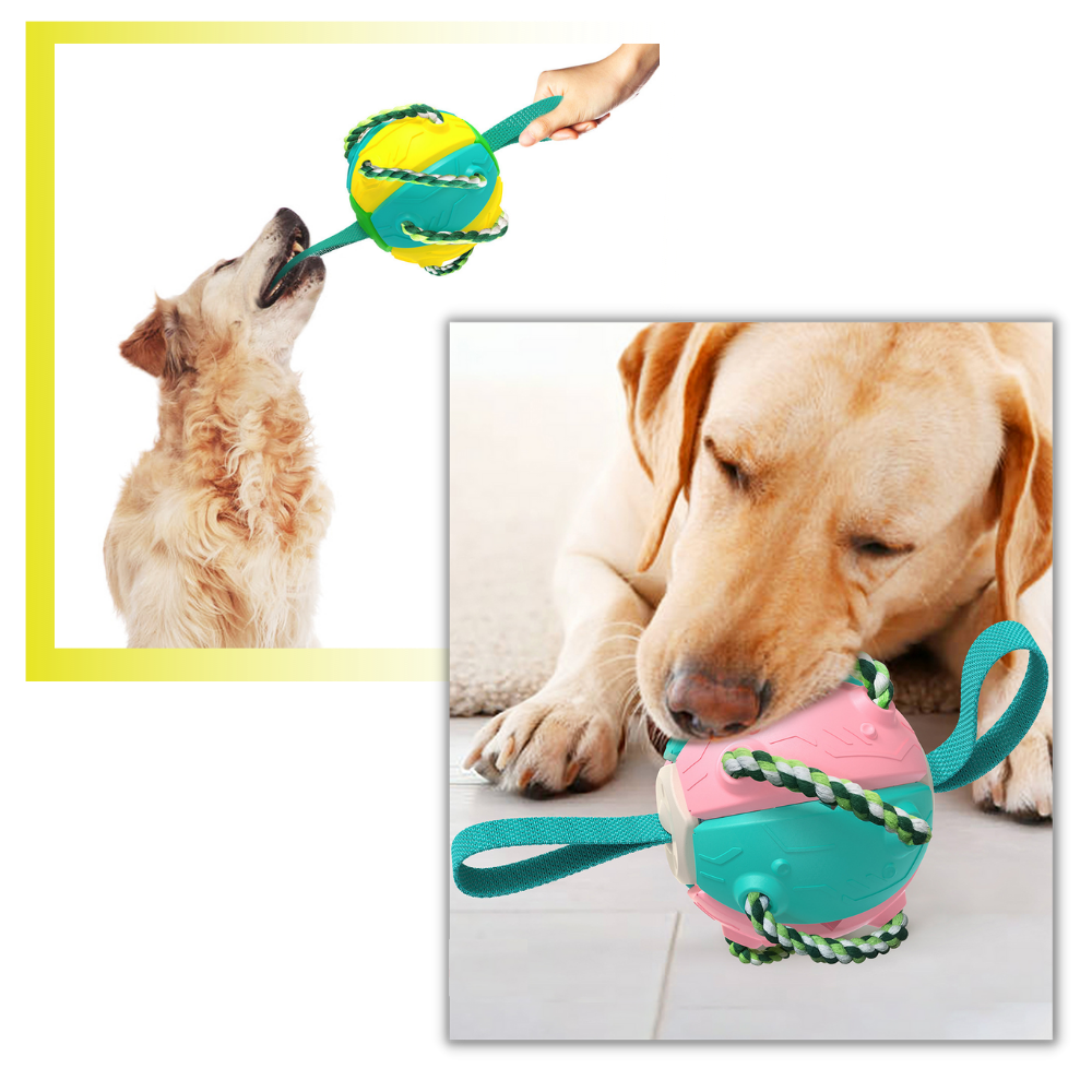 Giocattolo per cani palla frisbee - Ozerty