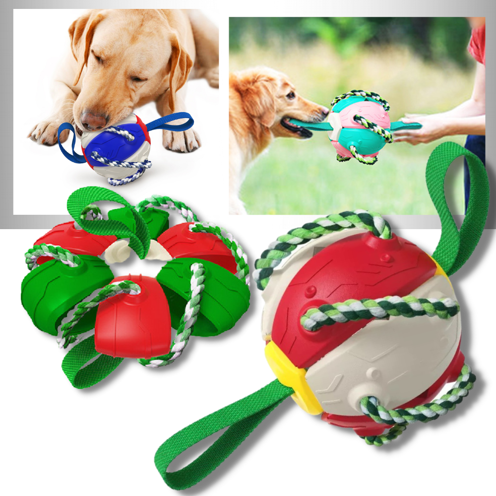 Giocattolo per cani palla frisbee - Ozerty