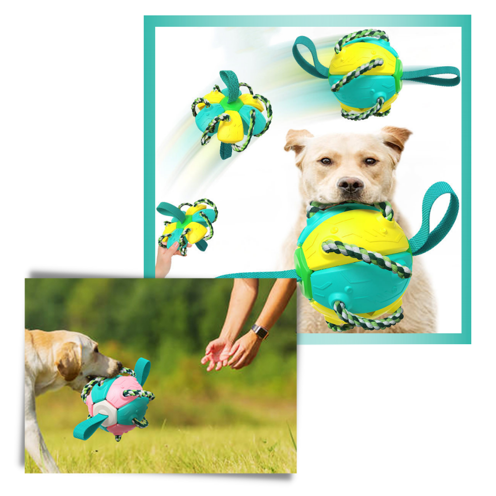 Giocattolo per cani palla frisbee - Ozerty