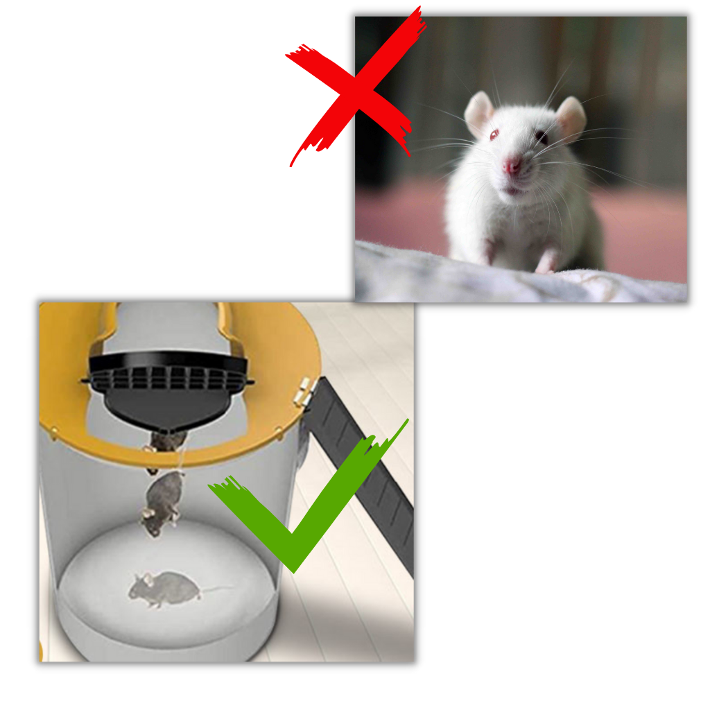 Trappola per topi e ratti a secchiello