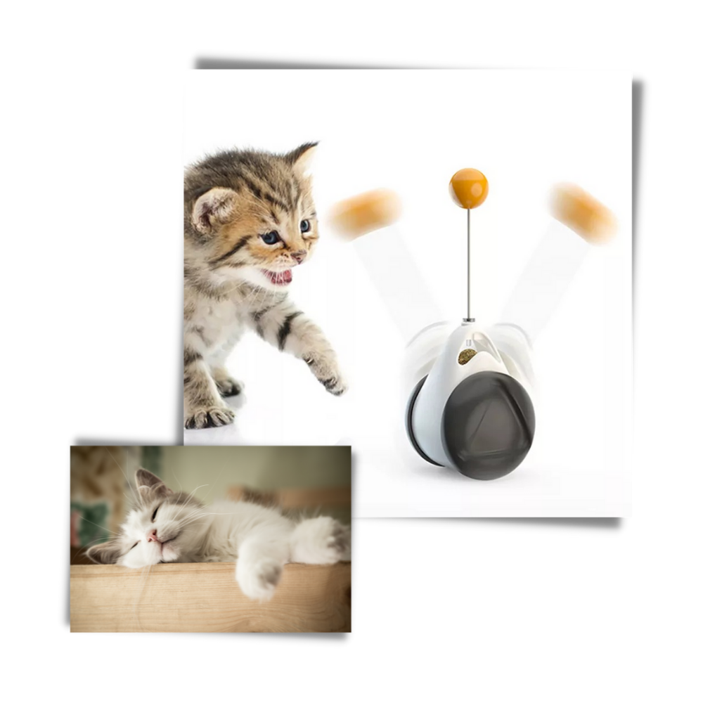Palla giocattolo interattiva per gatti - Ozerty