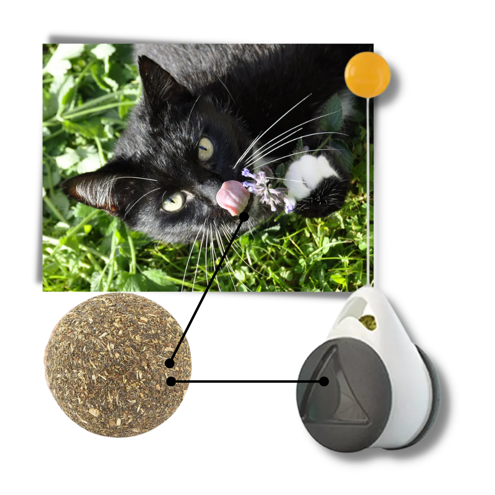 Palla giocattolo interattiva per gatti - Ozerty