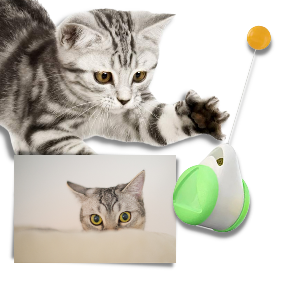 Palla giocattolo interattiva per gatti - Ozerty