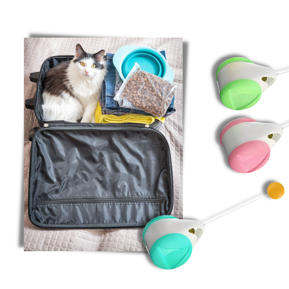 Palla giocattolo interattiva per gatti