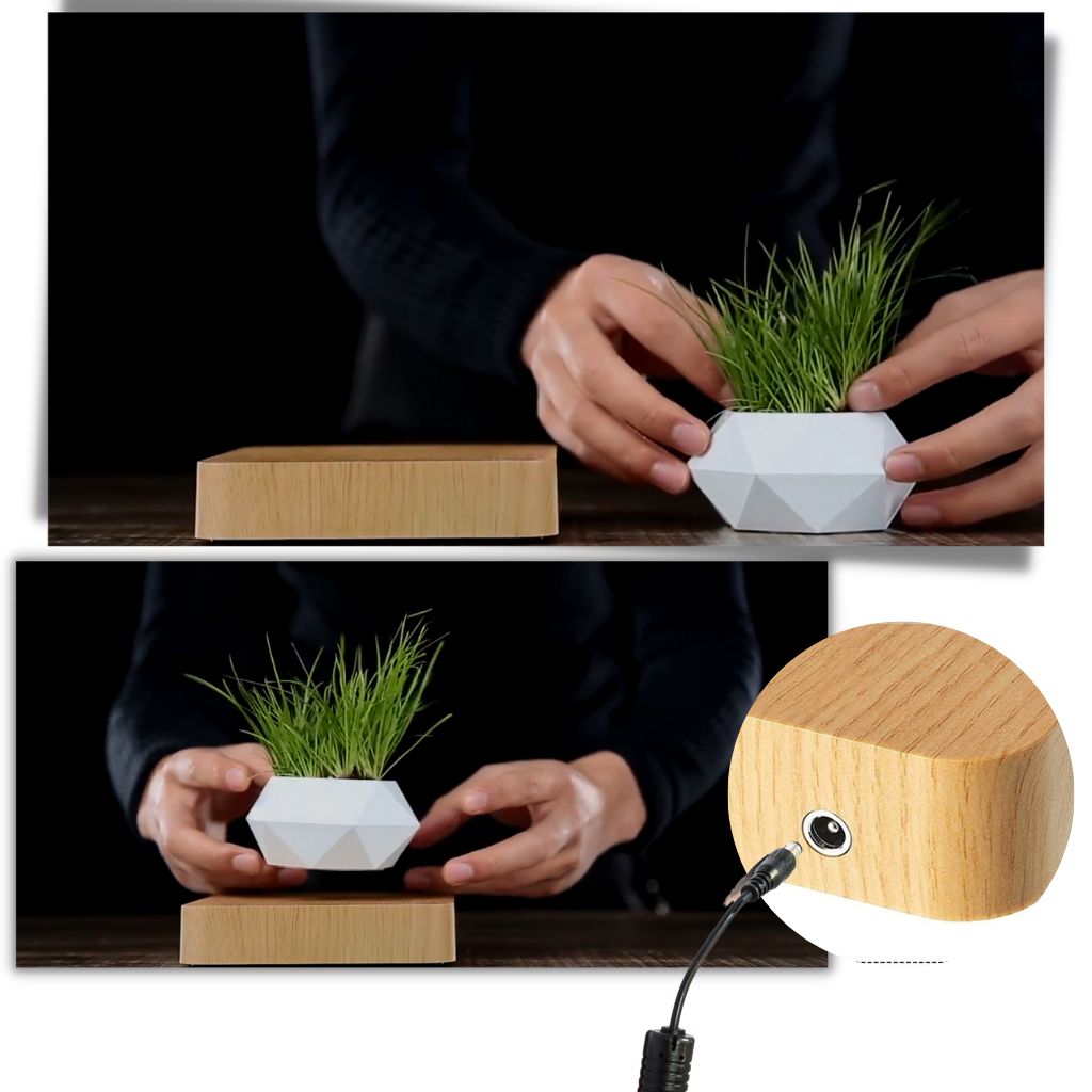 Vaso per piante fluttuante - Ozerty