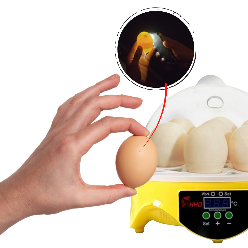 Mini incubatrice automatica per uova - ozayti