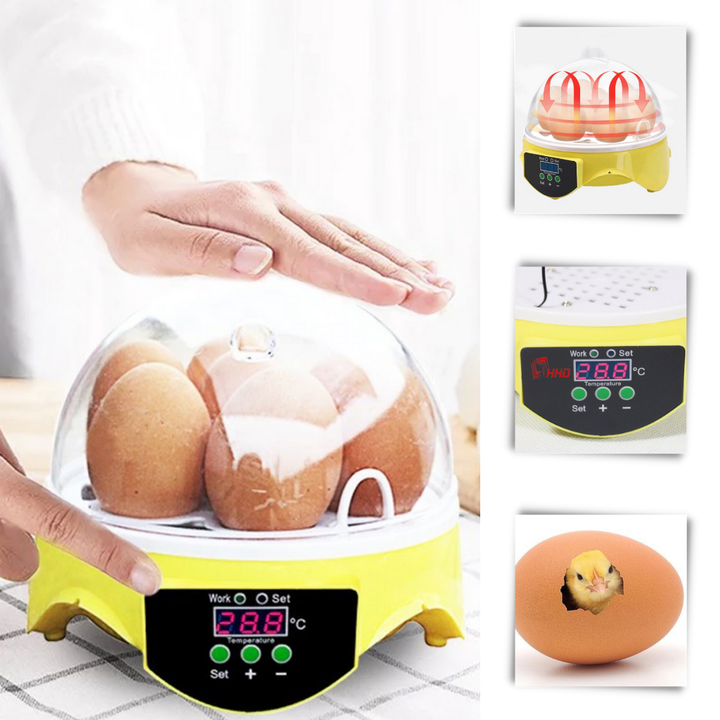 Mini incubatrice automatica per uova - ozayti