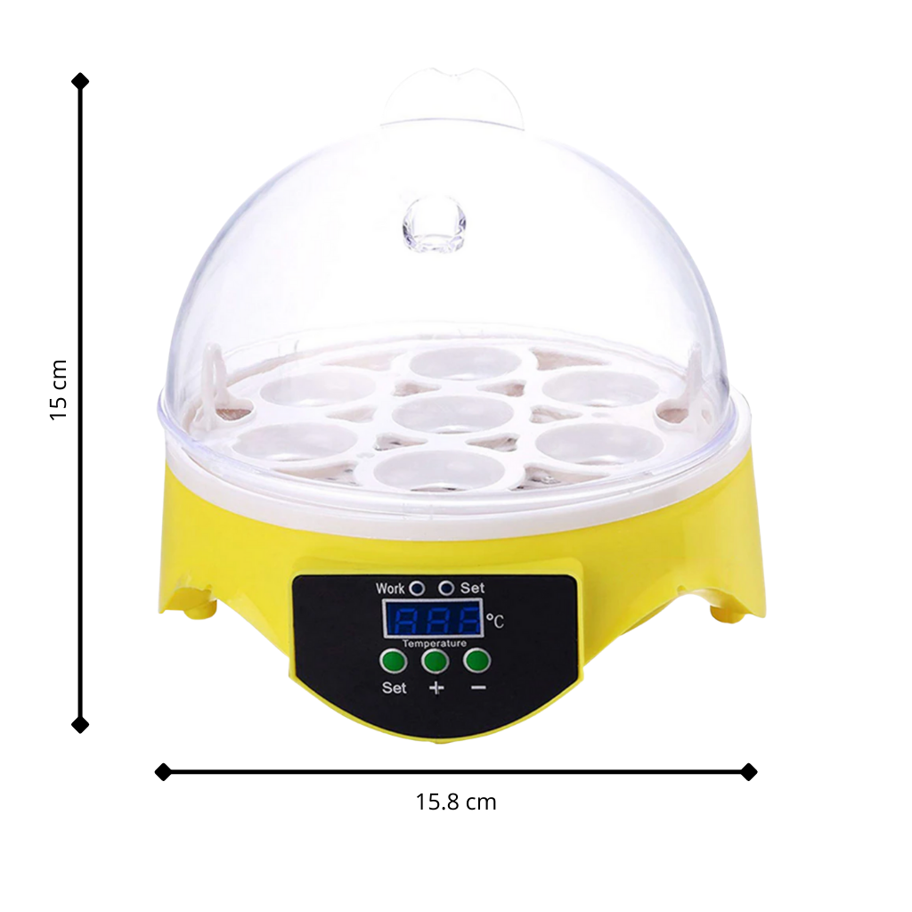 Mini incubatrice automatica per uova - ozayti