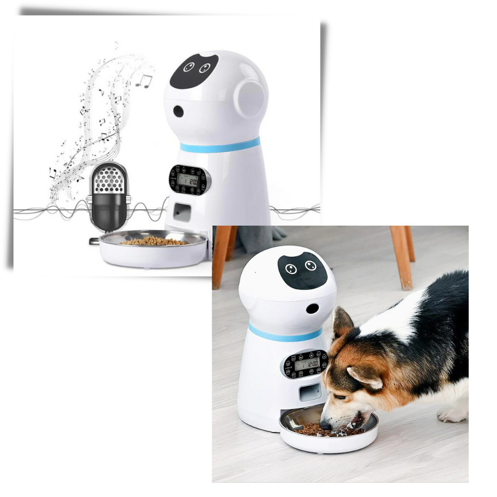 Distributore automatico di cibo per animali - Ozerty