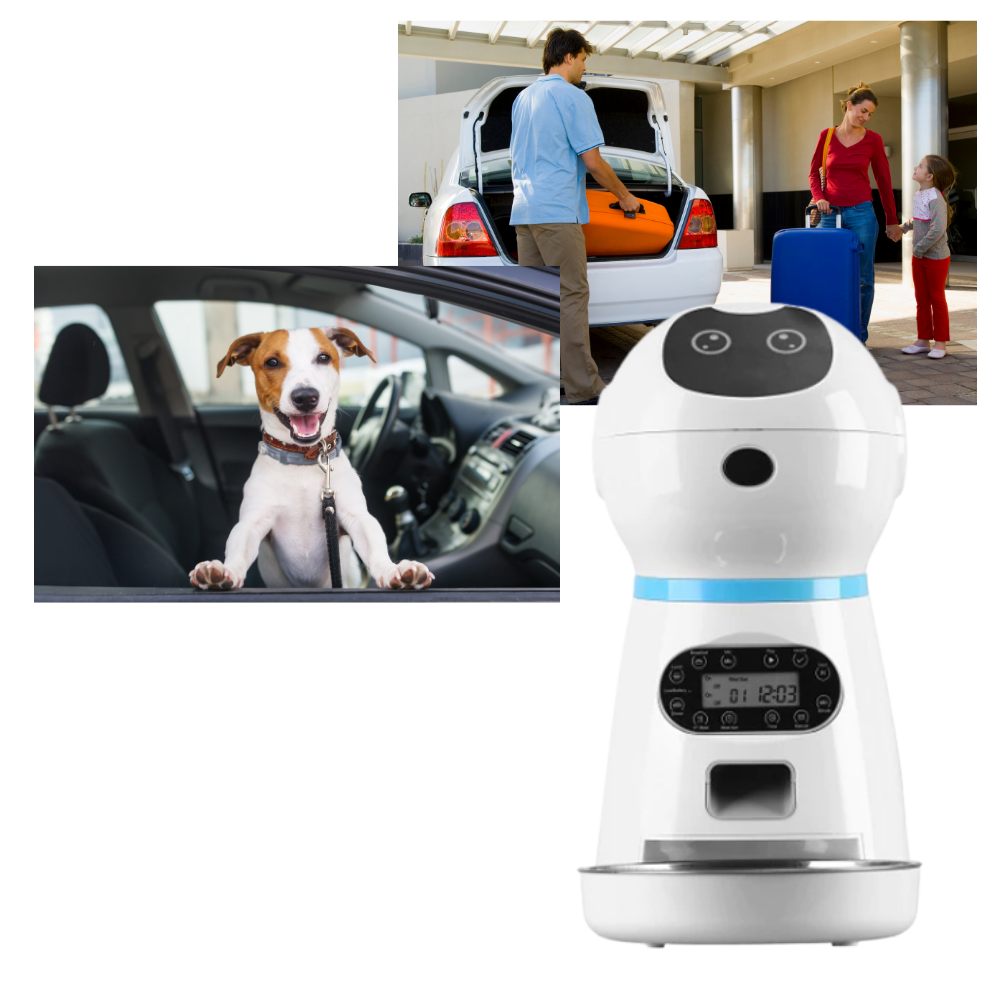 Distributore automatico di cibo per animali - Ozerty