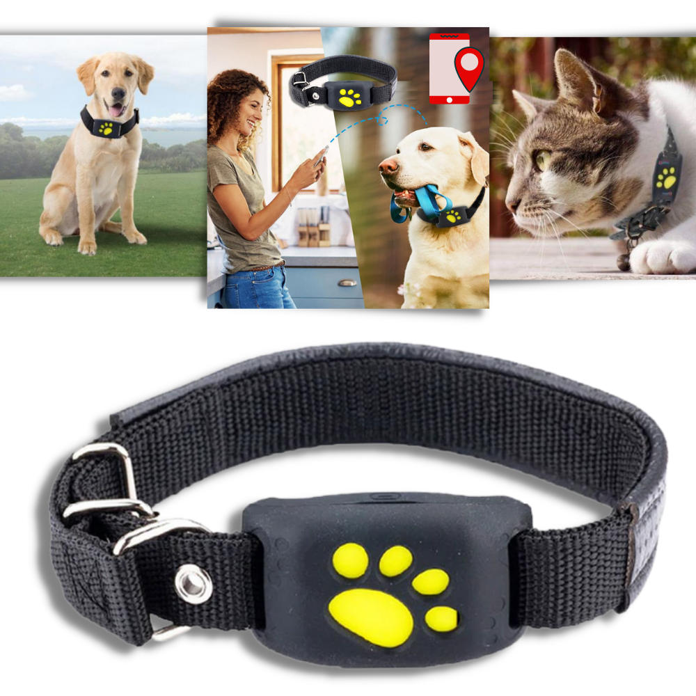 Collare di localizzazione GPS per animali domestici - Ozerty