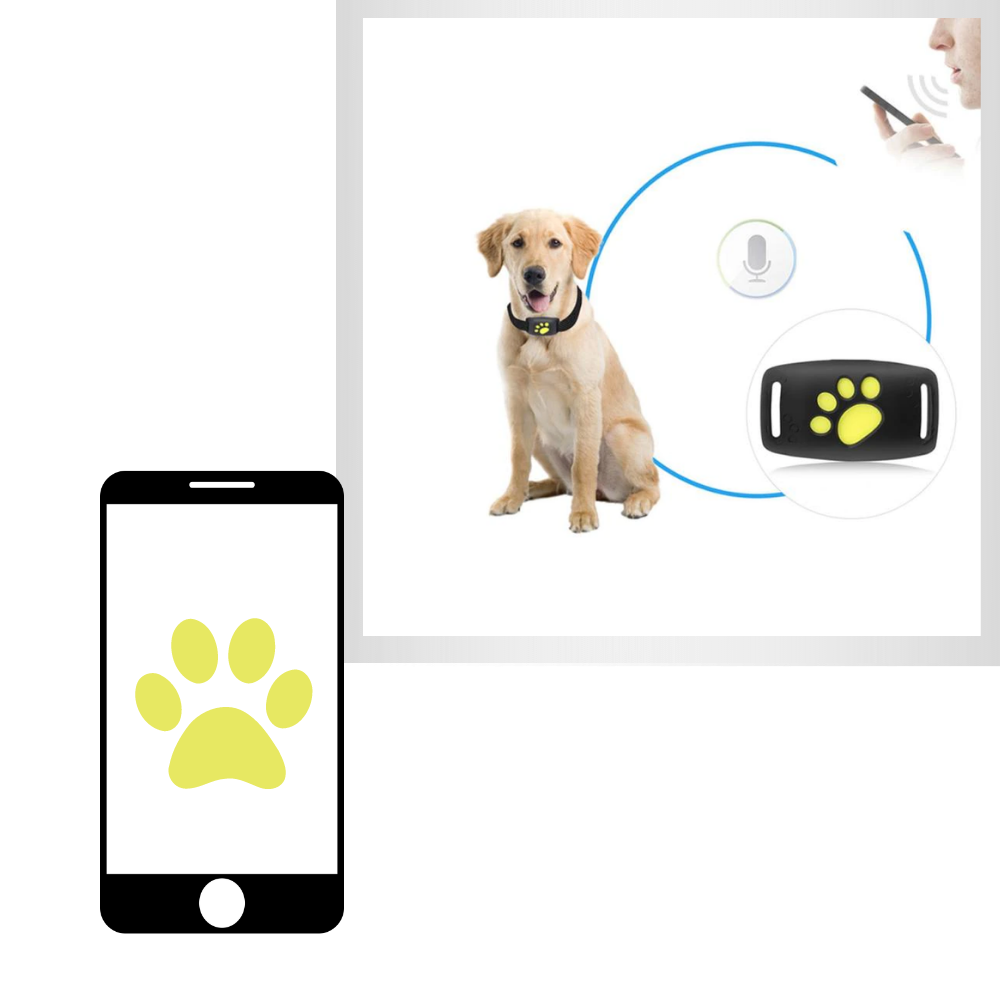Collare di localizzazione GPS per animali domestici - Ozerty