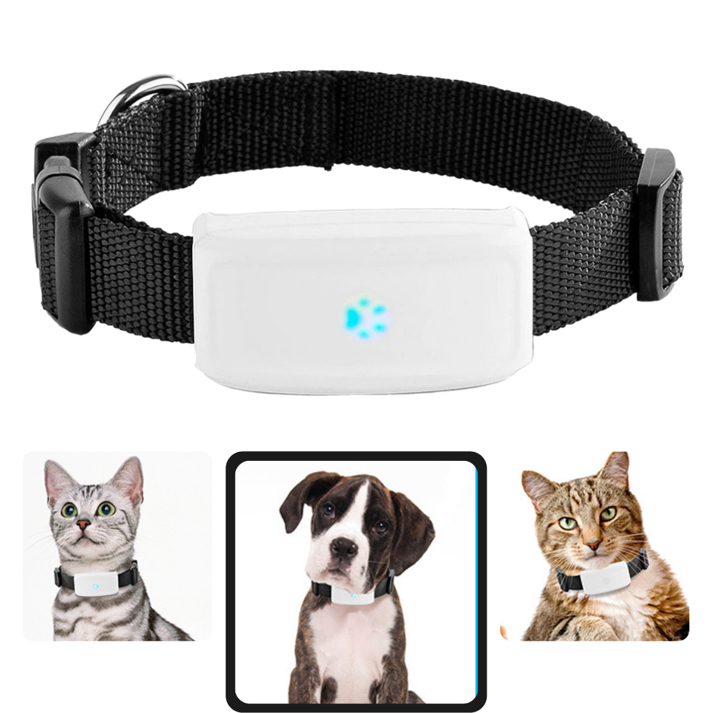 Collare di localizzazione GPS per animali domestici - Ozerty