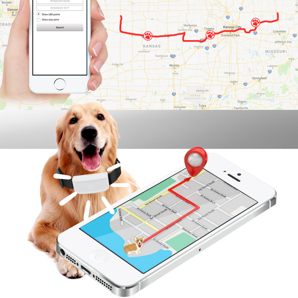 Collare di localizzazione GPS per animali domestici