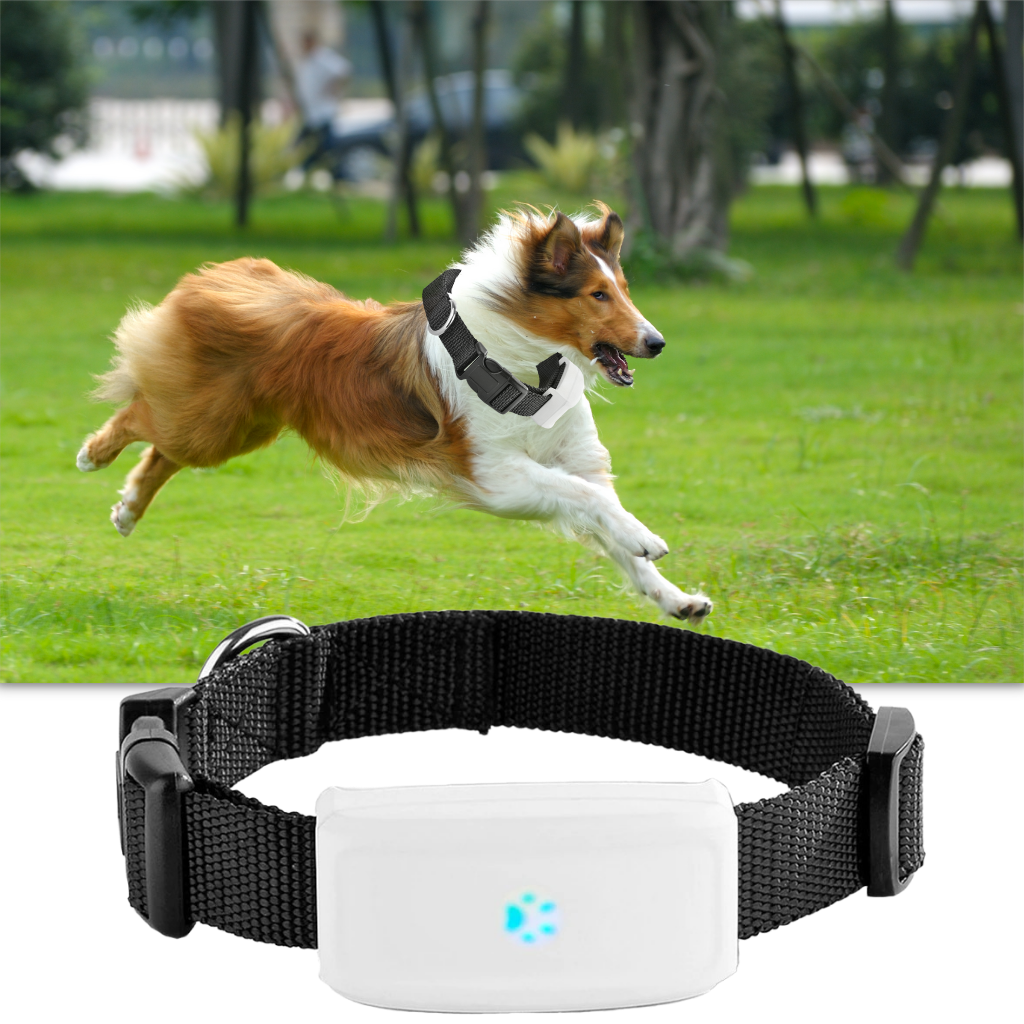 Collare di localizzazione GPS per animali domestici - Ozerty