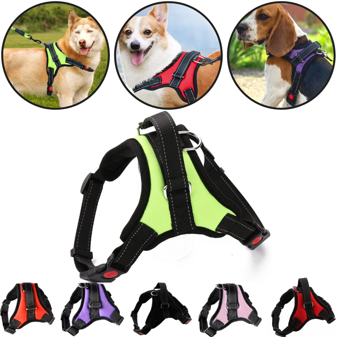 Imbracatura per cani a sella regolabile riflettente - Ozerty