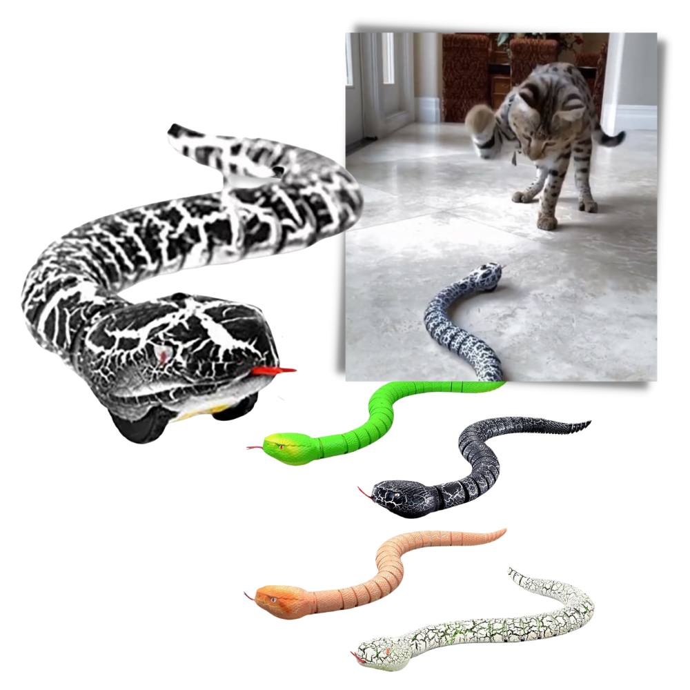 Giocattolo a serpente interattivo telecomandato per gatto - Ozerty