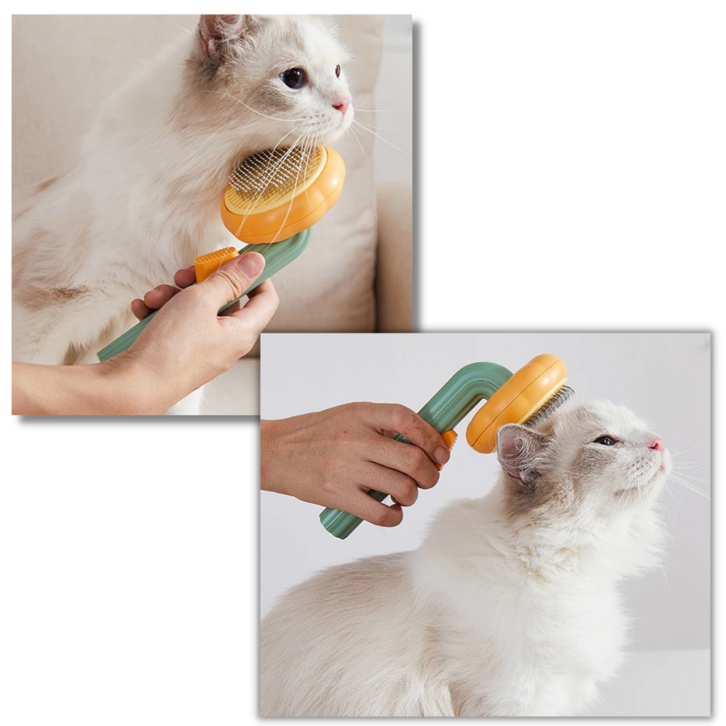 Spazzola per animali autopulente a forma di zucca - Ozerty