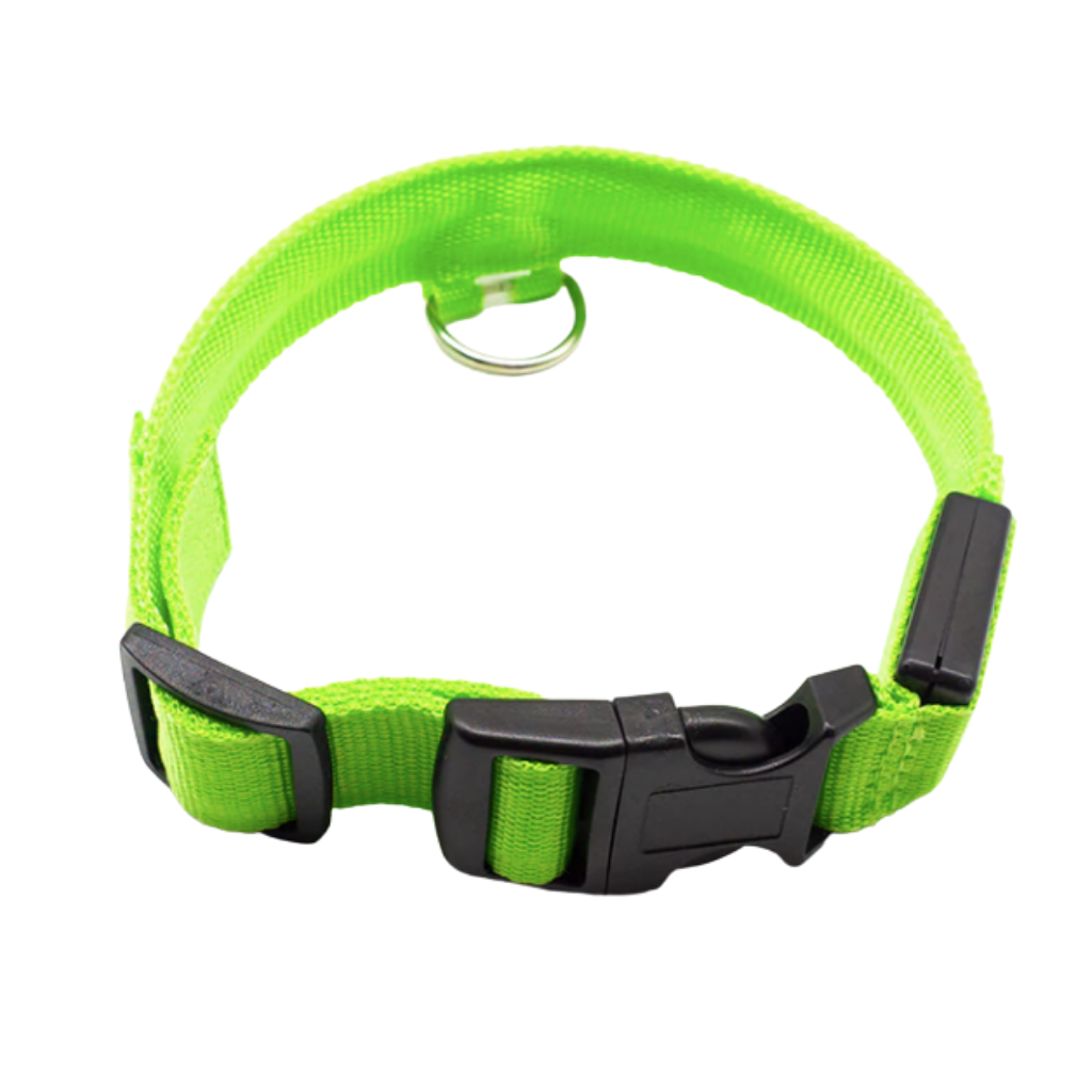 Collare per animali con luce LED ricaricabile USB