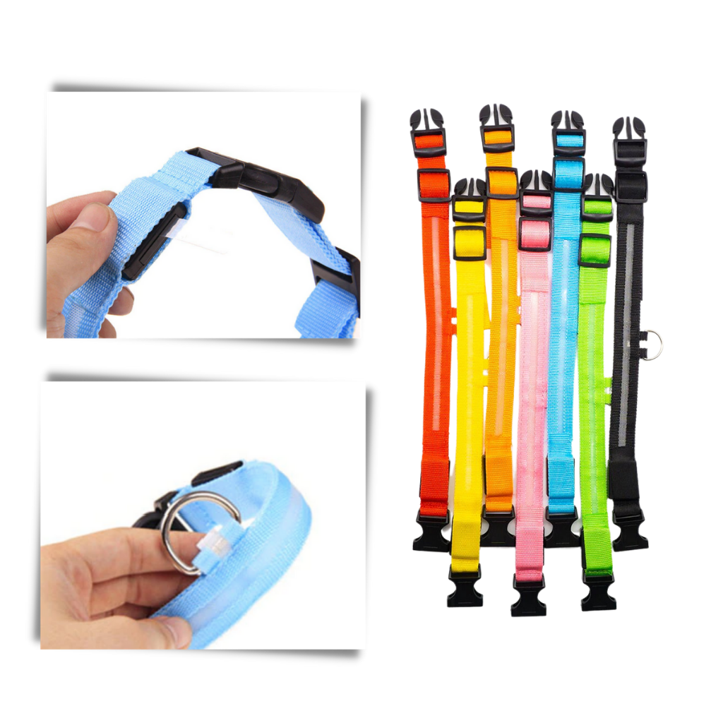 Collare per animali con luce LED ricaricabile USB - Ozerty