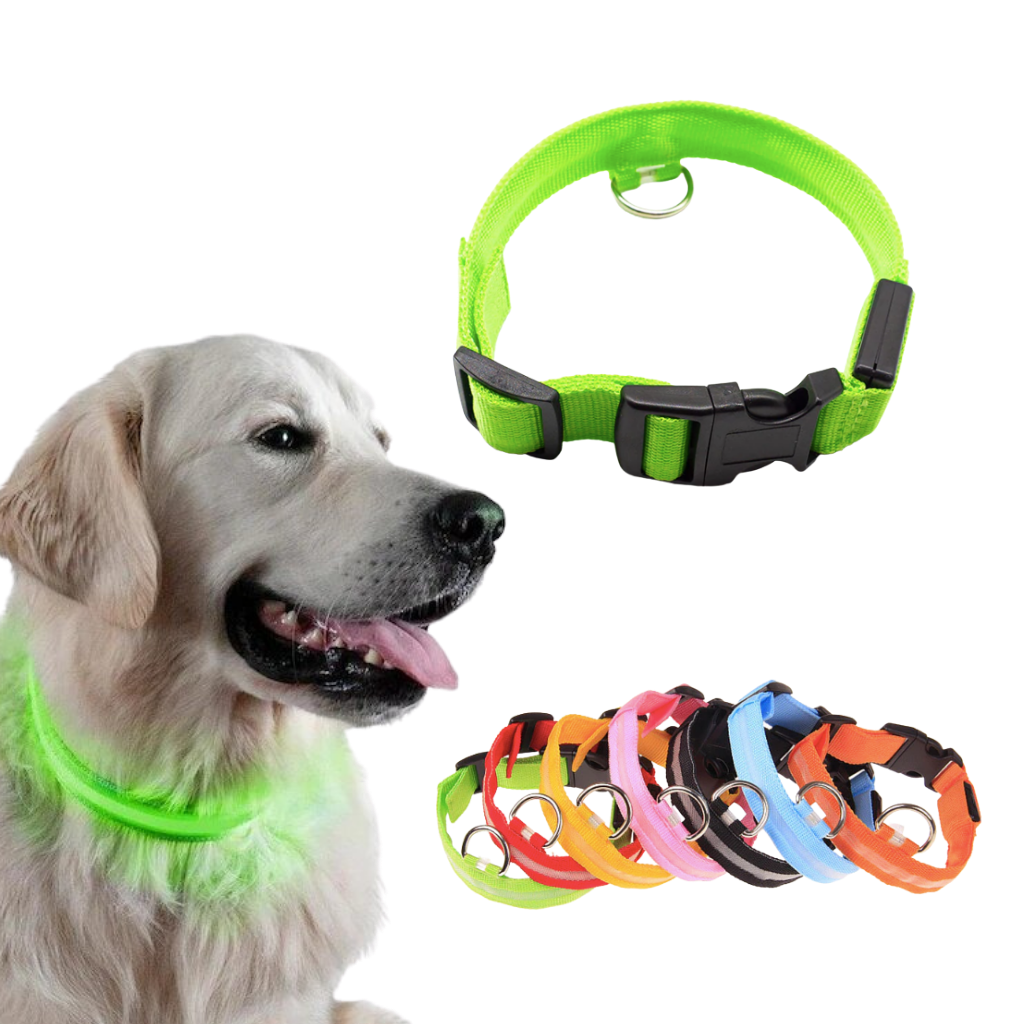 Collare per animali con luce LED ricaricabile USB - Ozerty