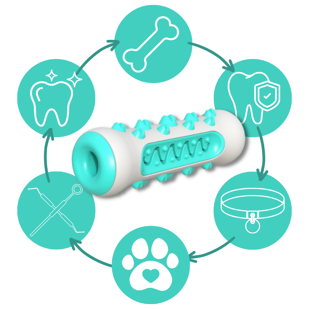 Giocattolo da masticare per la cura dei denti per cani - Ozerty