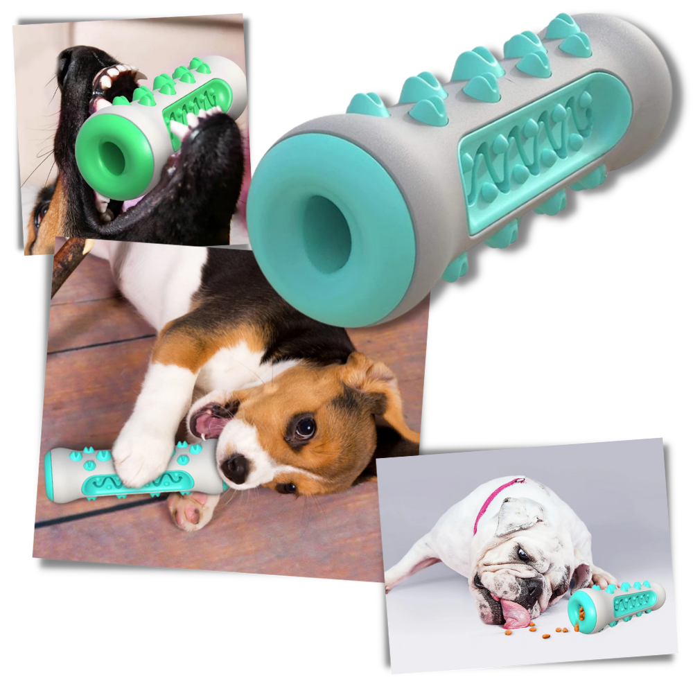 Giocattolo da masticare per la cura dei denti per cani - Ozerty